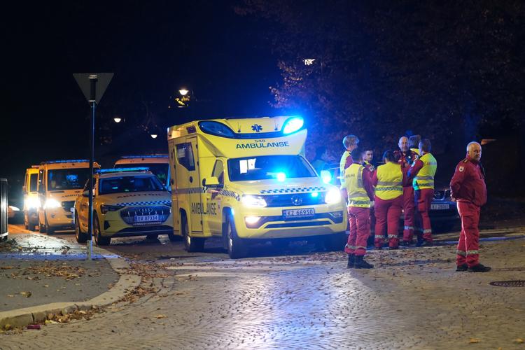 Foto: Joakim Fjeldli/Ritzau Scanpix