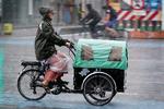 Foto: Jens Dresling
