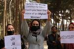 Modige kvinder fortsætter demonstrationerne i kabul for kvinders ret til at arbejde og få en uddannelse.

  Foto: Aa/abaca/Ritzau Scanpix