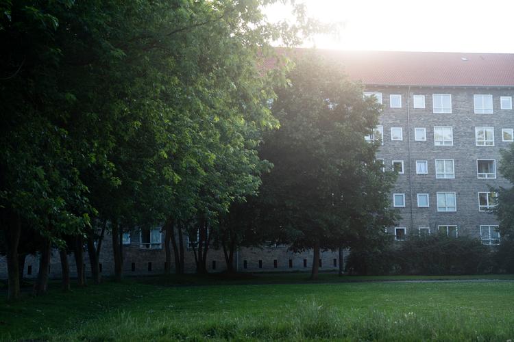 Nørrebroborgerne har ikke meget grønt i deres bydel. Nørrebroparken er et af de områder, der ikke er fyldt med asfalt og huse. Foto: Andreas Merrald