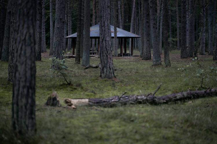 Det var her i Nordskoven ved Rønne, at en 28-årig mand blev dræbt.  Foto: Mikkel Hørlyck