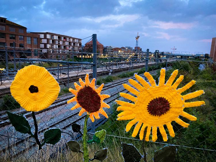 Tre gule blomster vejrer på hegnet ved Ny Ellebjerg Station i Valby, garnfitti. En skønne dag skal det nok blive bedre.  Foto: Per Munch