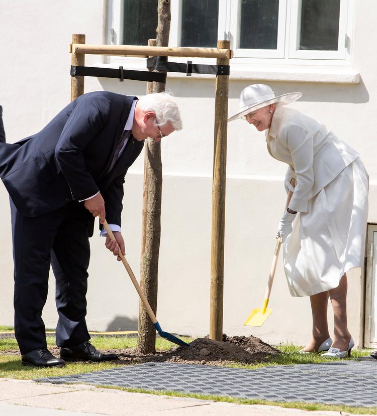     Frank-Walter Steinmeier og dronning Margrethe mødte hinanden ved 101-året for Genforeningen i juni. Her planter de et egetræ ved det nye tyske museum i Sønderborg. Foto: Bernd von Jutrczenka/Ritzau Scanpix