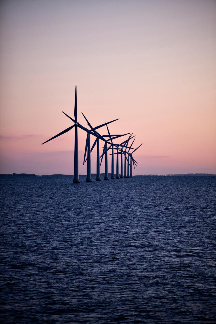 Foto: Miriam Dalsgaard