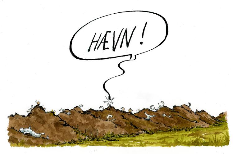 Foto: Roald Als/POLITIKEN