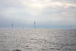 Hvem der skal bygge vindmølleparken Thor i Nordsøen, afgøres ved lodtrækning efter flere bud uden støtte. (arkivfoto)  Foto: Marcus Emil Christensen