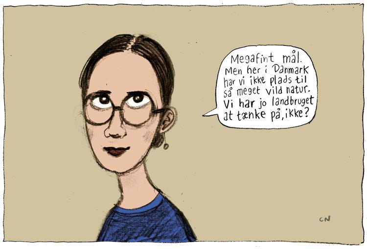 Arkivtegning  Claus Nørregaard