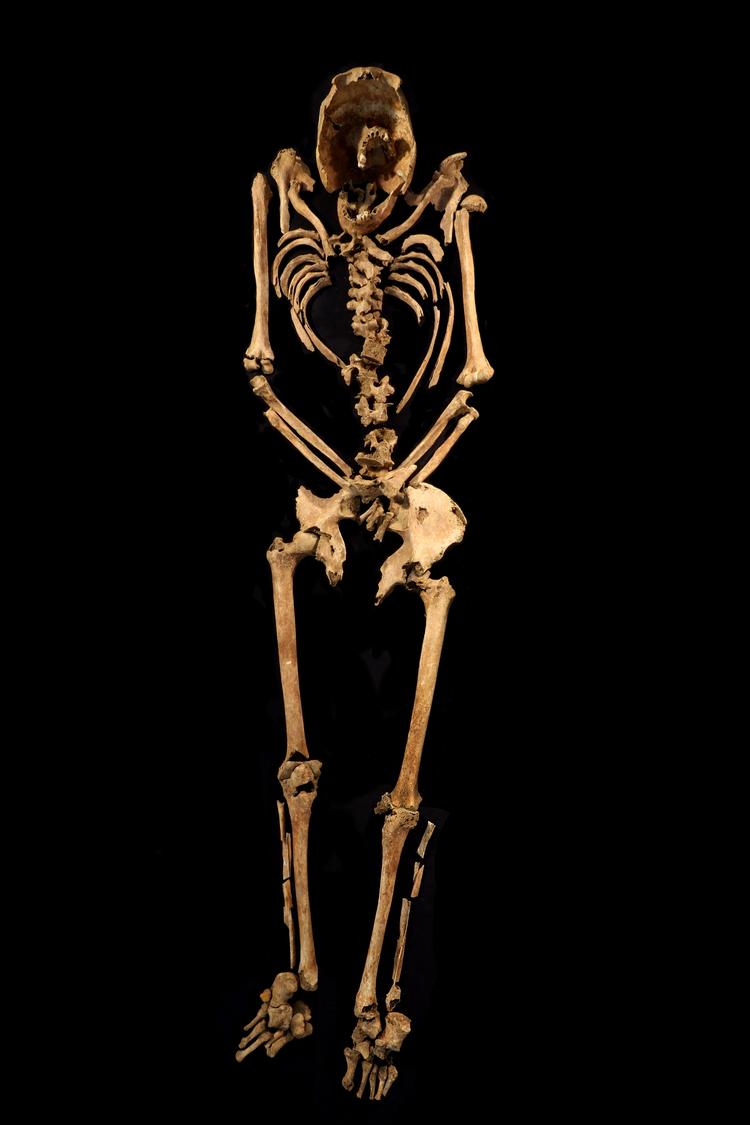 Crucified skeleton displayed CREDIT-Albion Archaeology &amp; Adam Williams.png.jpg  All the photographed artefacts are Roman. The brooches, altar and pottery were recovered during the excavations but were not directly associated with any of the graves. Foto: Albion Archaeology & Adam Williams