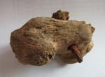 Foto: Albion Archaeology
