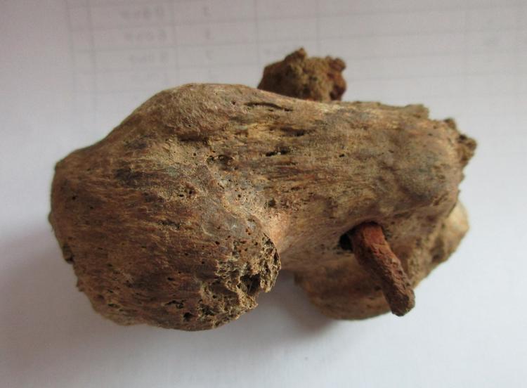 Foto: Albion Archaeology