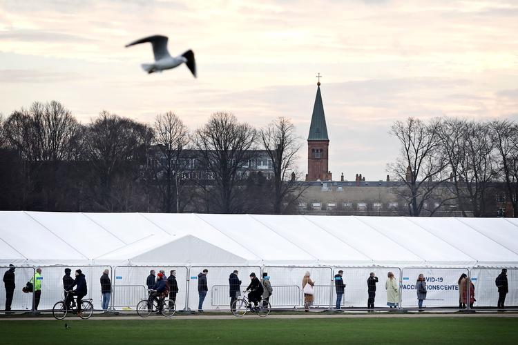 Københavnere i lang kø i Fælledparken for at blive vaccineret tidligere i dag.  Foto: Jens Dresling
