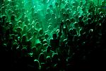 Den danske DJ Martin Jensen gav koncert i Falconer Salen i København foran 2.500 tilskuere 26. november. Under en måned senere er kulturlivet fra i dag lukket ned på grund af markant stigende smittetal med corona.  Foto: Thomas Borberg