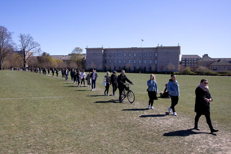 Københavnere i kø til coronatest i Fælledparken. Foto: Finn Frandsen
