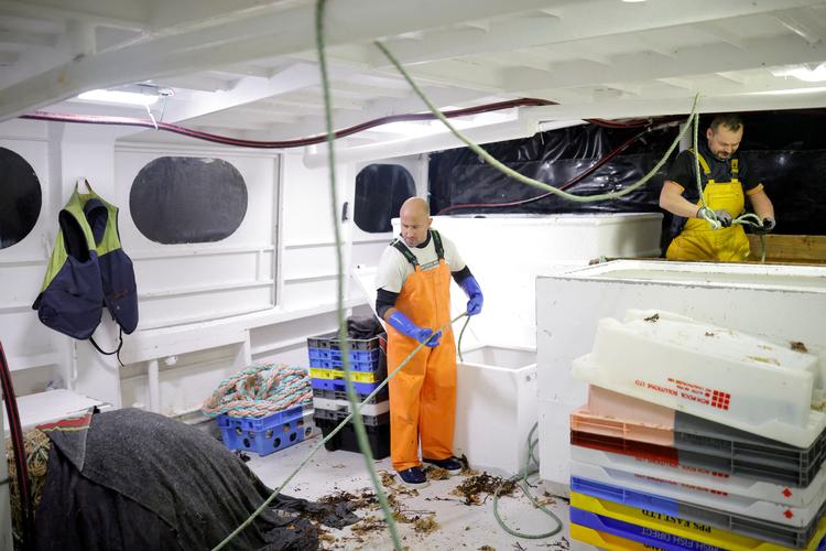 Storbritannien og EU har landet ny aftale om fiskekvoter. Det giver danske fiskere klarhed, siger minister. Foto: Stephane Mahe/Ritzau Scanpix