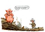 Foto: Roald Als/POLITIKEN