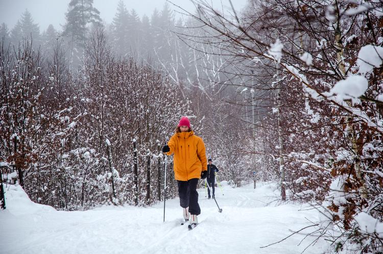 Langrendssporten vinder frem disse år, og der er masser af muligheder tæt på Danmark. Her Kristianstads 2,5 kilometer lange lysløjpe før de mørke timer trænger sig på og lysmasterne tændes. Foto: Alexander Vissing