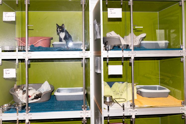 Foto: Andreas Merrald