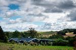 Der blev slået rekord i udlejning af sommerhuse sidste år.   Foto: Joachim Ladefoged