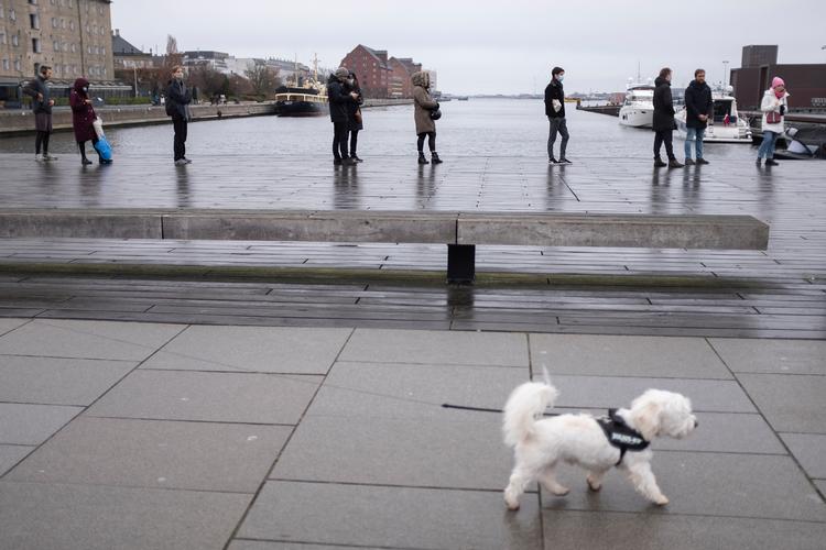 Allerede nu er der en undervariant af omikron i vækst i Danmark, og den undrer forskerne på Statens Serum Institut (SSI). Foto: Thomas Borberg