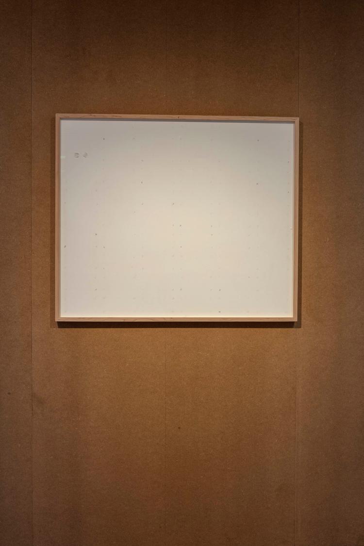 Lykkeligt er det, at Jens Haanings kunstværk ’Take the Money and Run’, som jo er skabt i direkte forbindelse med eller i opposition til museet og som en kommentar til museet om dårlige arbejdsforhold for kunstnere, nu havner på selvsamme museum. Det er institutionskritik, som nu havner inde på institutionen selv.  Foto: Niels Fabæk/Kunsten Museum of Modern Art