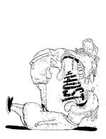 Foto: Philip Ytournel/POLITIKEN