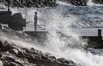 Foto: 50090 Johan Nilsson/tt/Ritzau Scanpix