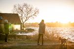 Roskilde Fjord ved Roskilde går over sine bredder, forårsaget af Stormen Malik der presser vandet ind i fjorden. Billedet er fra i går, søndag.  Foto: Mads Claus Rasmussen/Ritzau Scanpix