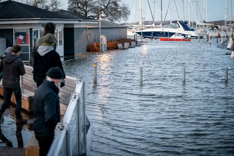 Roskilde Fjord ved Roskilde Havn gik over sine bredder, da stormen Malik kom på besøg.  Foto: Mads Claus Rasmussen/Ritzau Scanpix