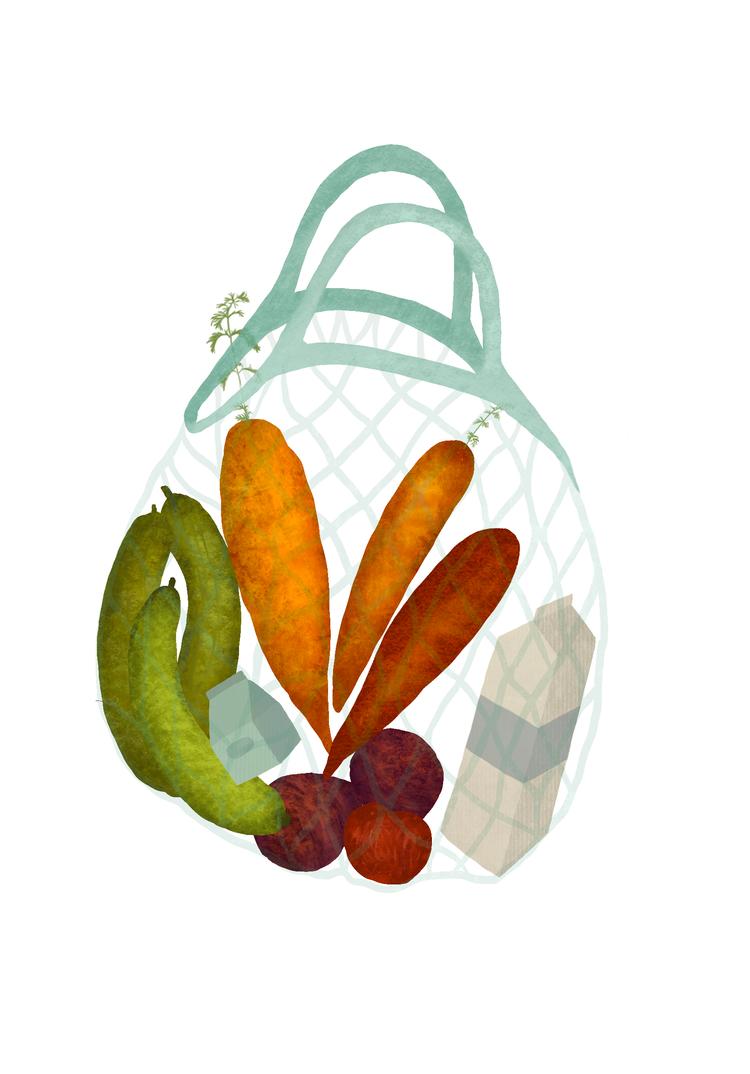 Går man efter økologiske fødevarer, viser Politikens årlige pristjek, at Rema 1000 er billigst. (Illustration: Karen Rosenlund) 