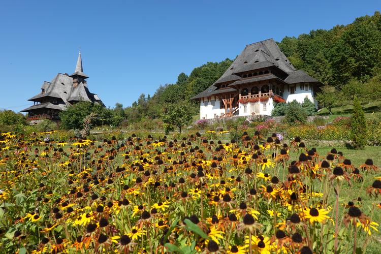 Det ortodokse Barsana-kloster er på Unesco's liste over kulturarv. De 10 bygninger ligger smukt over dalen i de grønne bjerge og er med deres fint udskårne træværk, de blomsterpyntede balkoner og tagene, der skyder op som paddehatte, en sjov blanding af Østrig og Vietnam.    Foto: Malin Kristina Westerlund