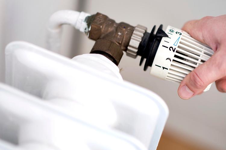 Arkivfoto Hauke-christian Dittrich