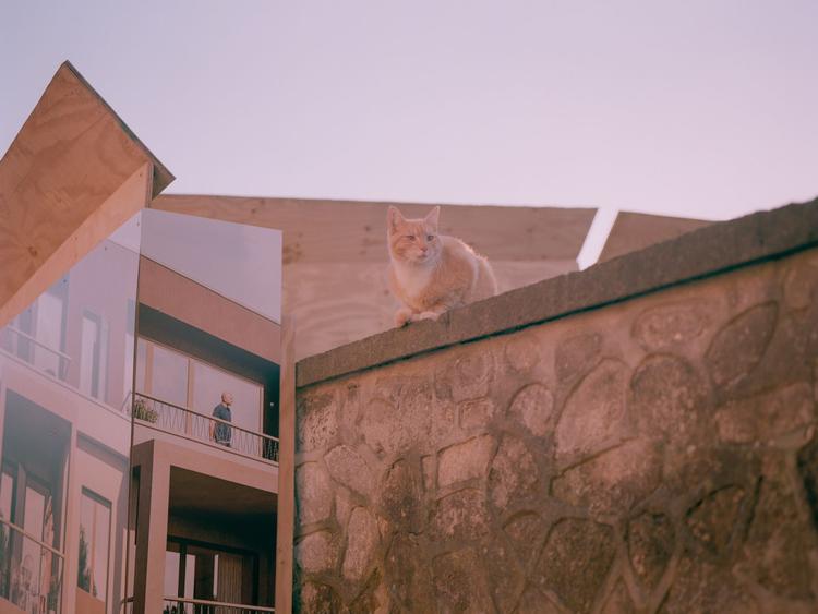 Foto: Fra bogen 'Leben' af Daniel Hjorth