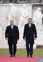 Foto: Tamas Kovacs/Ritzau Scanpix