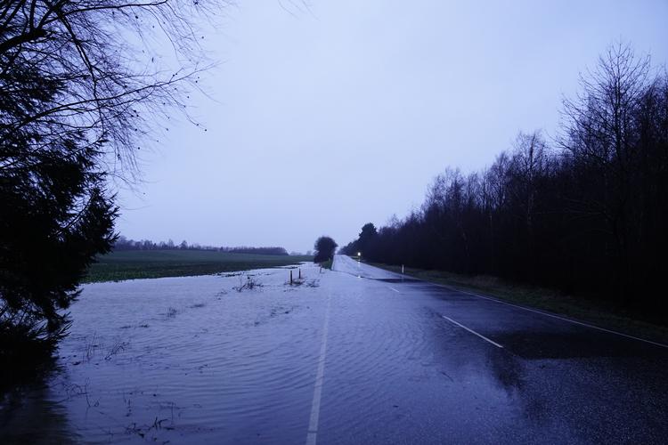 Foto: Mads Claus Rasmussen/Ritzau Scanpix