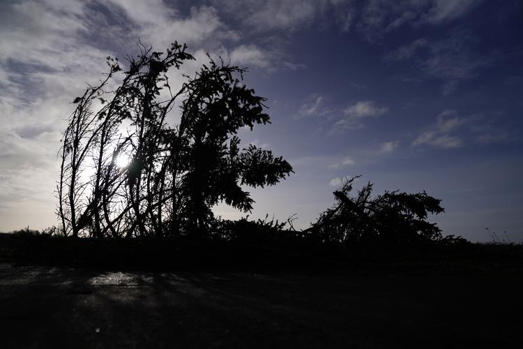 Foto: Mads Claus Rasmussen/Ritzau Scanpix