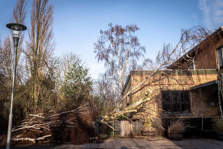 Foto: Mads Claus Rasmussen/Ritzau Scanpix