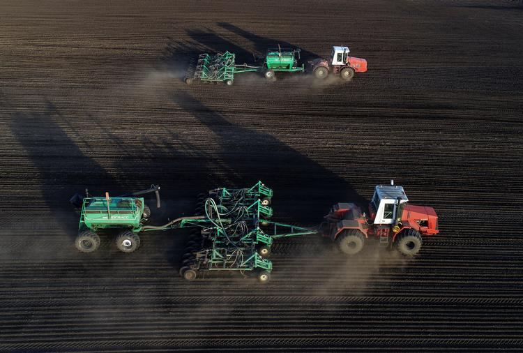 Rusland er et stort landbrugsland og eksporterer blandt andet meget hvede. Her er det dog en bygmark, der bliver sået i Krasnodar-regionen. Foto: Ilya Naymushin/Ritzau Scanpix