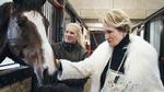 Fru Karin Salling er en passioneret hesteejer og et af de mange fascinerende portrætter i dokumentaren 'Højt til hest'. Foto: Sine Skibsholt/TV 2