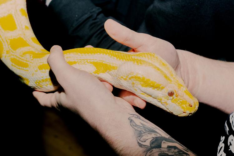 Foto: Katrine Hørup Noer