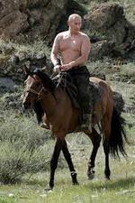 putin hest