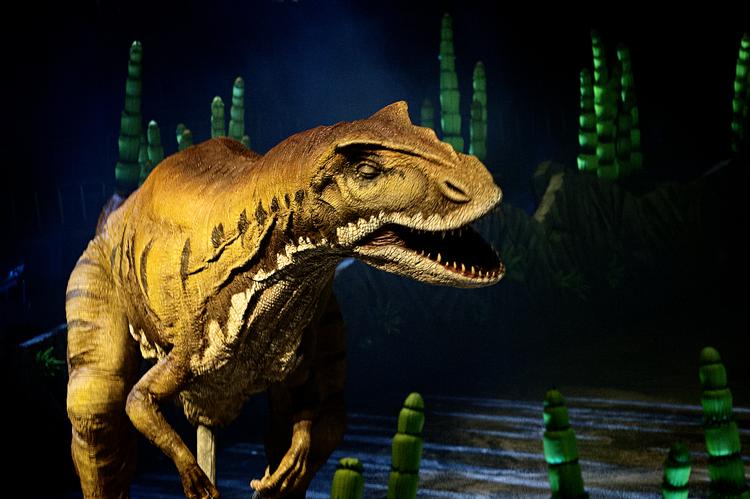 De kødædende dinosaurere så farlige og frygtindgydende ud, men de overlevede ikke et asteroidenedslag for 66 millioner år siden, som skete på en forårsdag, viser ny forskning. Foto: Marius Nyheim