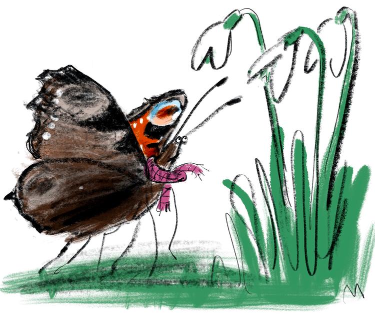Foto: Mette Dreyer/POLITIKEN
