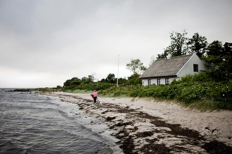 Klimaforandringer får unikke, danske kystlandskaber til at forsvinde. Foto: Casper Dalhoff