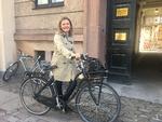 ds cykel