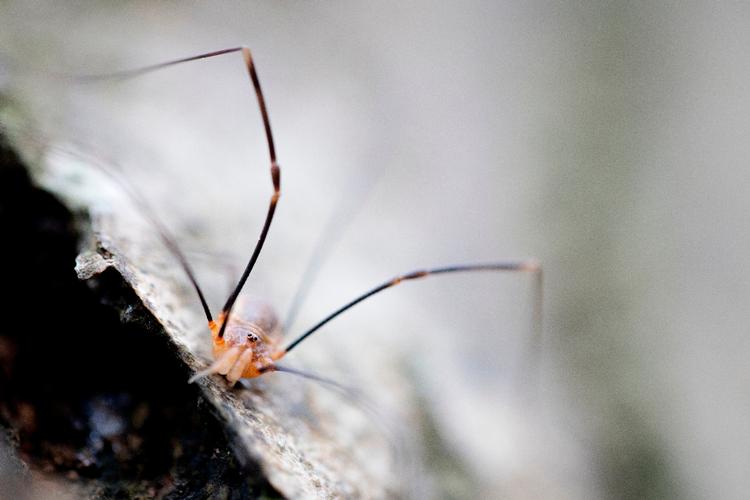 Foto: Casper Dalhoff/Casper Dalhoff