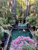 Manon les Suites_Kristoffer Flakstad 7