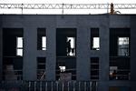 47 procent af byggeriets virksomheder melder om mangel på arbejdskraft. Foto: Jens Dresling (arkiv)