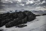 En sæl fotograferet på den antarktiske Horseshoe Island, før temperaturerne steg til nogle steder 40 grader over normalen for årstiden. Foto: Aa/abaca/Ritzau Scanpix