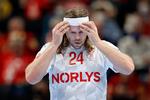 Foto: Jens Dresling