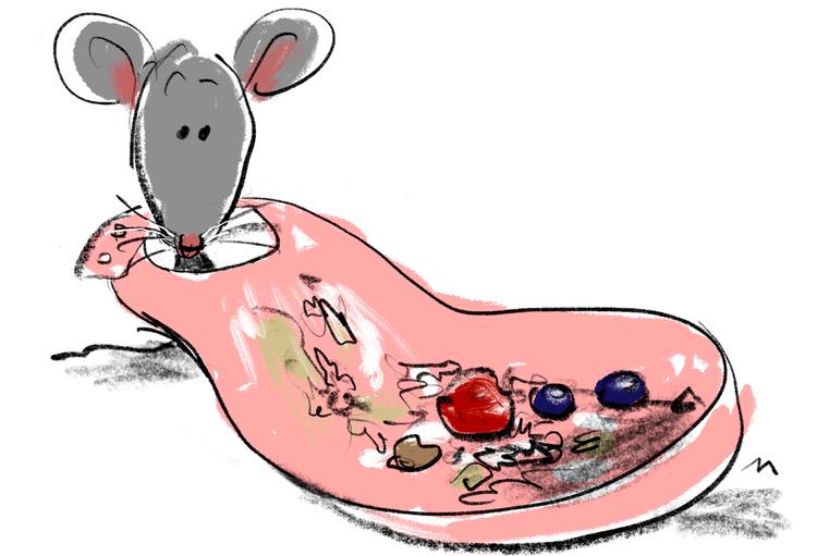 Foto: Mette Dreyer/POLITIKEN